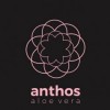 Anthos Aloe Vera
